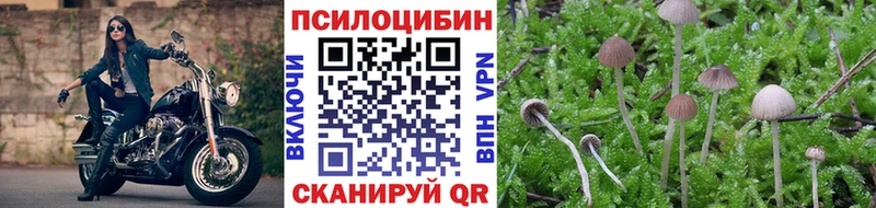 Галлюциногенные грибы MAGIC MUSHROOMS  Подпорожье 
